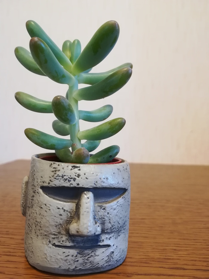 癒し 癒し