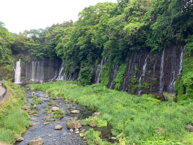 初めまして