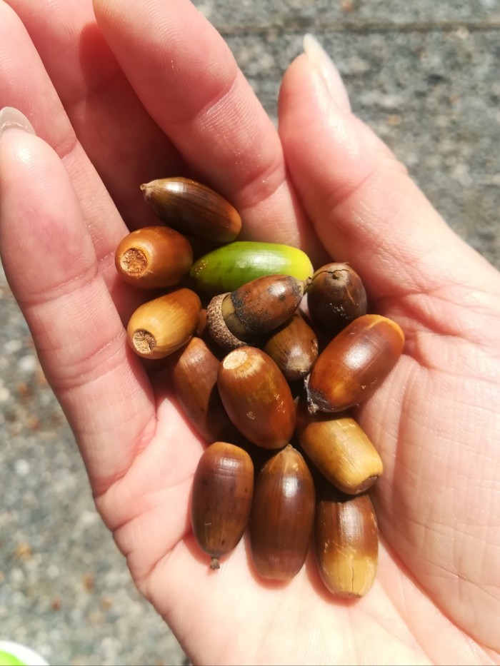 芸術?スポーツ?食欲? 芸術?スポーツ?食欲?